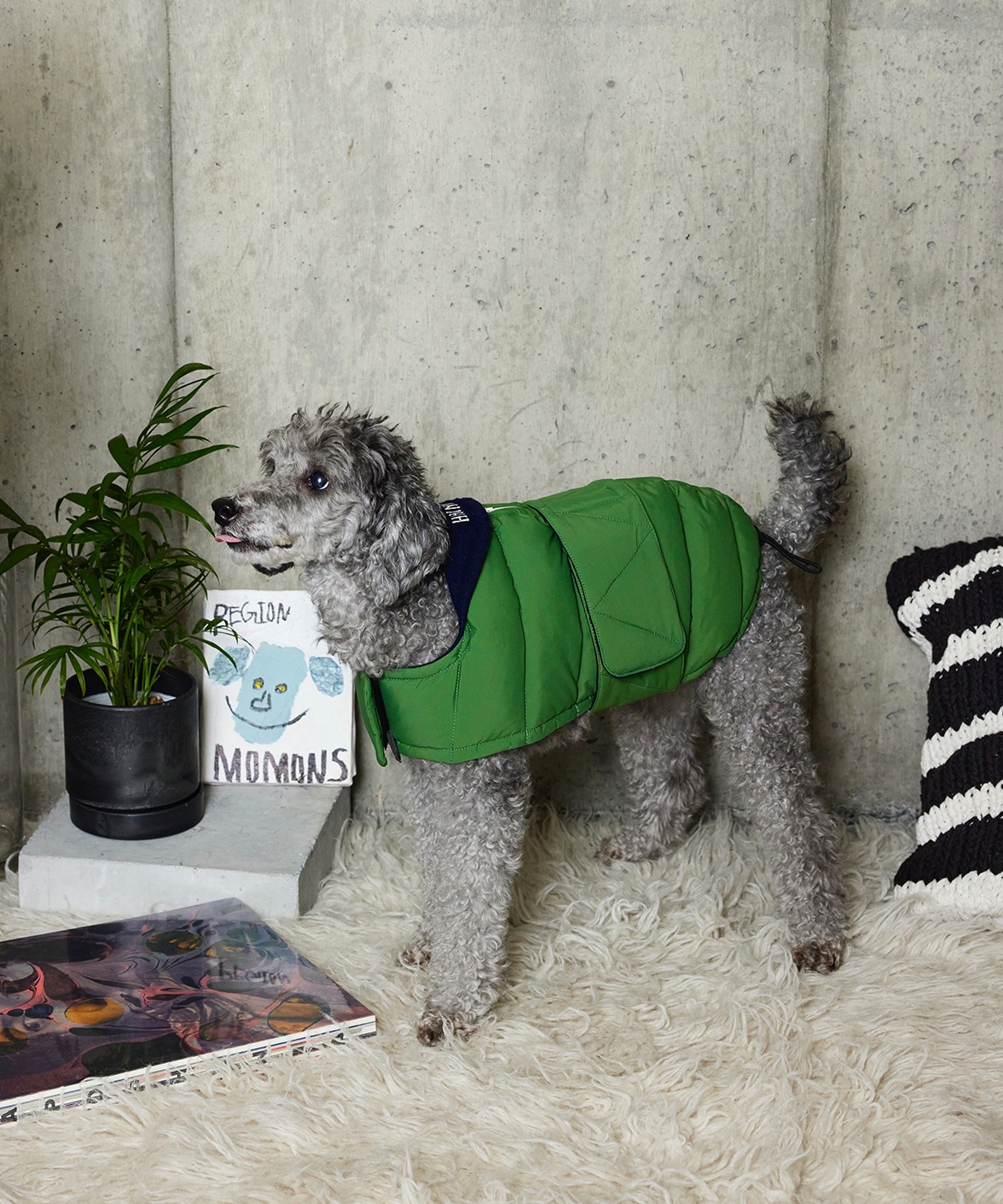 おしゃれなドッグウェア(犬服)ブランド・犬用品グッズの公式通販ならPEGION